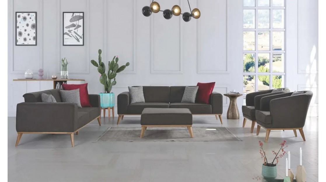 Vega Koltuk Takımı